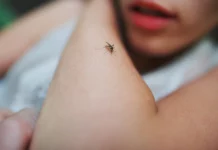 Τουρίστας στα Χανιά ζήτησε αποζημίωση από το ξενοδοχείο του γιατί... τον τσίμπησαν τα κουνούπια