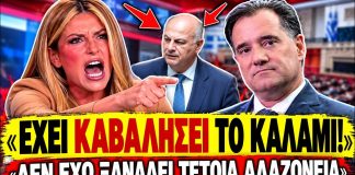 Γιάμαλη τα ψέλνει σε Γεωργιάδη και υπουργούς: «Έχουν καβαλήσει το καλάμι, είναι αλαζόνες» -(VIDEO)