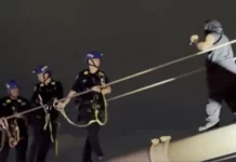 Τραγωδία στη Γέφυρα του Μπρούκλιν: Αστυνομικοί πυροβόλησαν άνδρα με μαχαίρι που φώναζε «θέλω να πεθάνω»-(VIDEO) Τραγωδία στη Γέφυρα του Μπρούκλιν: Αστυνομικοί πυροβόλησαν άνδρα με μαχαίρι που φώναζε «θέλω να πεθάνω»-(VIDEO)