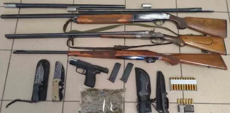 Μάνη: Κατασχέθηκαν πάνω από 81 κιλά κάνναβης – Αστυνομικοί εντόπισαν όπλα και μαχαίρια, δύο συλλήψεις