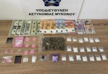Μύκονος: Συνελήφθη 26χρονος για διακίνηση ναρκωτικών – Προσπάθησε να ξεφύγει όταν αντιλήφθηκε τους αστυνομικούς