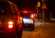 Δέκα συλλήψεις για απάτες με κτηνοτροφικές επιδοτήσεις, ναρκωτικά και όπλα στο Ρέθυμνο