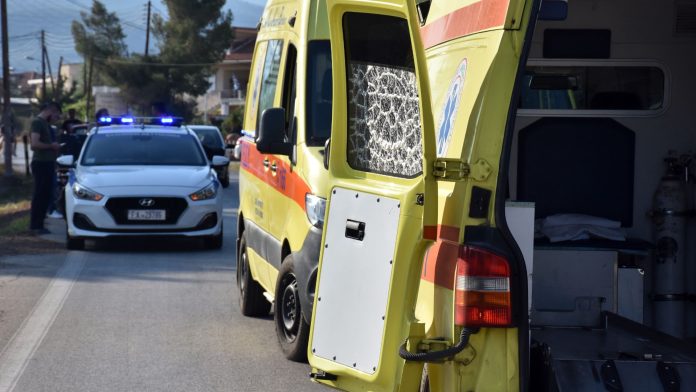 Το ΕΣΥ του Γεωργιάδη: Μια ώρα και 17 λεπτά έκανε το ασθενοφόρο να φτάσει στην Καρίτσα: «Είμαι ξυλοκόπος και μου έλεγαν…