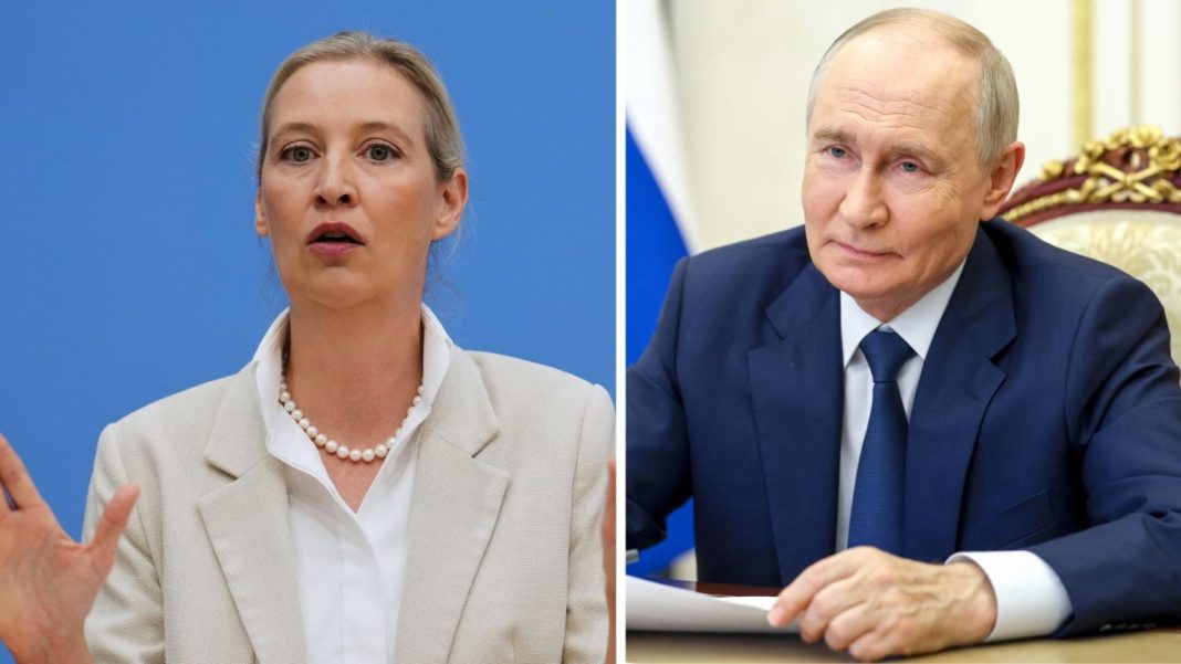putin-vaidel-afd-new-1536x864 Reuters: Στο τραπέζι επαφές Πούτιν και AfD για να ξαναμπεί το ρωσικό αέριο στη Γερμανία