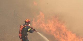 Πρέσπες: Φωτιά στο όρος Ντεβάς – Επιχειρούν δύο ελικόπτερα Πρέσπες: Φωτιά στο όρος Ντεβάς - Επιχειρούν δύο ελικόπτερα