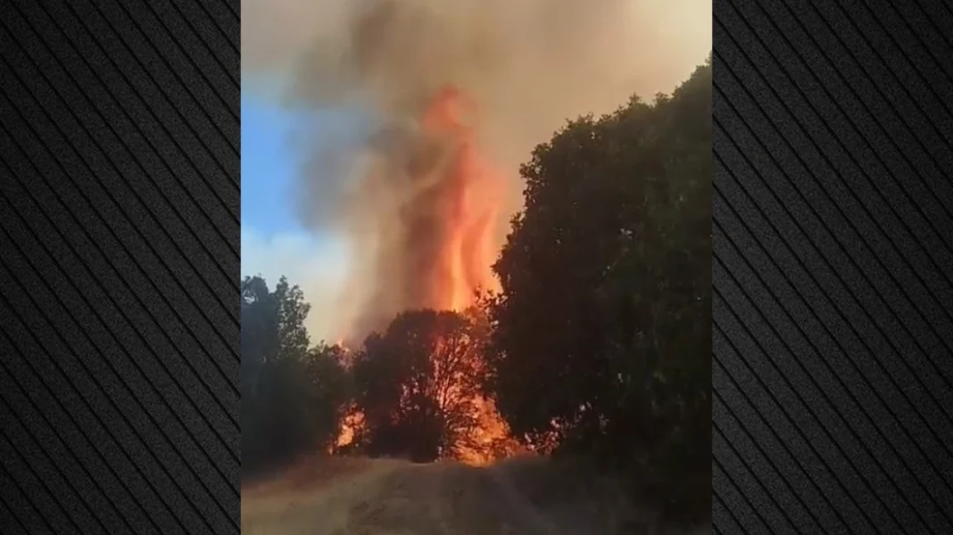 Φωτιά στο Αγιοφύλλο Τρικάλων: Ενισχύθηκαν οι δυνάμεις, 112 για ετοιμότητα, δείτε βίντεο