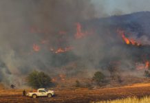 Φωτιά στο Κλειδί Βοιωτίας – Στη «μάχη» εναέρια μέσα – Ήχησε το 112