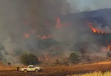 Φωτιά στο Κλειδί Βοιωτίας – Στη «μάχη» εναέρια μέσα – Ήχησε το 112 Φωτιά στο Κλειδί Βοιωτίας – Στη «μάχη» εναέρια μέσα – Ήχησε το 112