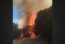 Φωτιά στο Αγιοφύλλο Τρικάλων: Ενισχύθηκαν οι δυνάμεις, 112 για ετοιμότητα, δείτε βίντεο Φωτιά στο Αγιοφύλλο Τρικάλων: Ενισχύθηκαν οι δυνάμεις, 112 για ετοιμότητα, δείτε βίντεο