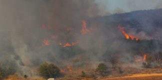 Φωτιά στο Κλειδί Βοιωτίας – Στη «μάχη» εναέρια μέσα – Ήχησε το 112 Φωτιά στο Κλειδί Βοιωτίας – Στη «μάχη» εναέρια μέσα – Ήχησε το 112