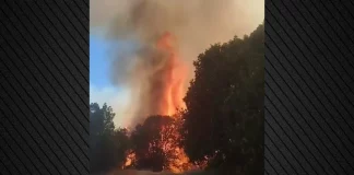 Φωτιά στο Αγιοφύλλο Τρικάλων: Ενισχύθηκαν οι δυνάμεις, 112 για ετοιμότητα, δείτε βίντεο Φωτιά στο Αγιοφύλλο Τρικάλων: Ενισχύθηκαν οι δυνάμεις, 112 για ετοιμότητα, δείτε βίντεο