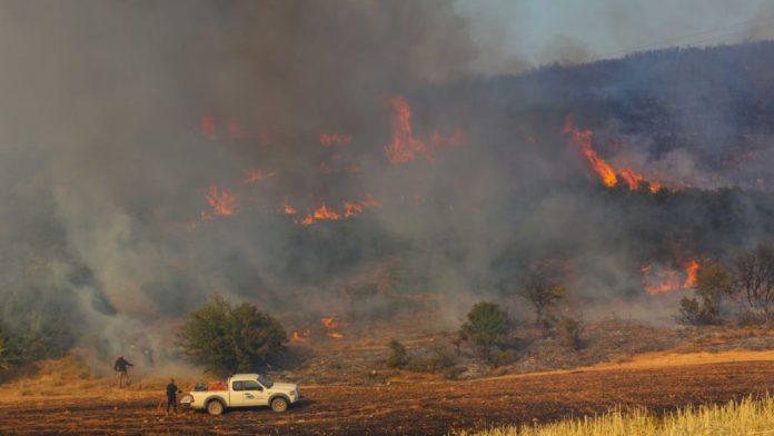 Φωτιά στο Κλειδί Βοιωτίας – Στη «μάχη» εναέρια μέσα – Ήχησε το 112 Φωτιά στο Κλειδί Βοιωτίας – Στη «μάχη» εναέρια μέσα – Ήχησε το 112