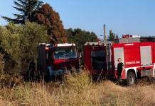 Πυροσβέστες Ε.ΜΟ.Δ.Ε.: «Φτάνει ως εδώ» για τις συνεχόμενες 24ωρες υπηρεσίες – Καταγγελία για εξαντλητική υπερεργασία