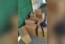 Nίκαια: Συνελήφθη 43χρονος με μεγάλη ποσότητα λαθραίων καπνικών