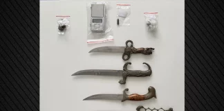 Συνελήφθη άνδρας στην Φθιώτιδα με σπάθες, κάνναβη και φυσίγγιο