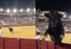 Ισπανία: Απόλυτος τρόμος σε ταυρομαχία – Ταύρος όρμησε προς τους θεατές μετά από ελιγμό του ματαντόρ