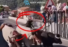 Ταύρος σκότωσε 64χρονη σε φεστιβάλ στην Ισπανία, βίντεο από την στιγμή της επίθεσης Ταύρος σκότωσε 64χρονη σε φεστιβάλ στην Ισπανία, βίντεο από την στιγμή της επίθεσης