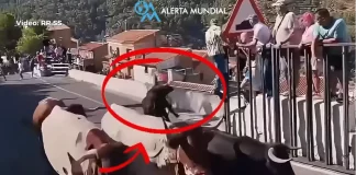 Ταύρος σκότωσε 64χρονη σε φεστιβάλ στην Ισπανία, βίντεο από την στιγμή της επίθεσης Ταύρος σκότωσε 64χρονη σε φεστιβάλ στην Ισπανία, βίντεο από την στιγμή της επίθεσης