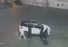 Αστυνομικοί στην Τουρκία έδωσαν μάχη και σκότωσαν τρομοκράτη του ISIS σε σταθμό λεωφορείων στην Κωνσταντινούπολη, δείτε βίντεο Αστυνομικοί στην Τουρκία έδωσαν μάχη και σκότωσαν τρομοκράτη του ISIS σε σταθμό λεωφορείων στην Κωνσταντινούπολη…