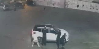 Αστυνομικοί στην Τουρκία έδωσαν μάχη και σκότωσαν τρομοκράτη του ISIS σε σταθμό λεωφορείων στην Κωνσταντινούπολη, δείτε βίντεο Αστυνομικοί στην Τουρκία έδωσαν μάχη και σκότωσαν τρομοκράτη του ISIS σε σταθμό λεωφορείων στην Κωνσταντινούπολη…