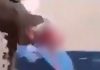 Γαλλία: 15χρονος ακρωτηριάστηκε στο χέρι από χειροβομβίδα κρότου-λάμψης στη διάρκεια διαδήλωσης-(VIDEO)