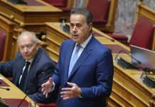 Σε «γραμμή» Μαρινάκη ο Παπασταύρου για το δημοσίευμα της WSJ: «Δεν τέθηκε ποτέ ζήτημα απειλής της χώρας»