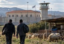 Βόλος: Απέδρασαν από τις Αγροτικές Φυλακές Κασσαβέτειας ενώ διέμεναν σε ποιμνιοστάσιο
