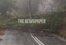 Κακοκαιρία στο Πήλιο: Εγκλωβίστηκε λεωφορείο του ΚΤΕΛ Μαγνησίας – Έκλεισε ο δρόμος από πτώσεις δέντρων [βίντεο]