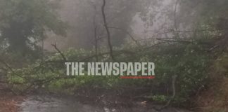 Κακοκαιρία στο Πήλιο: Εγκλωβίστηκε λεωφορείο του ΚΤΕΛ Μαγνησίας – Έκλεισε ο δρόμος από πτώσεις δέντρων [βίντεο]
