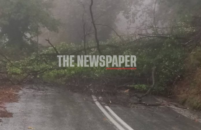 Κακοκαιρία στο Πήλιο: Εγκλωβίστηκε λεωφορείο του ΚΤΕΛ Μαγνησίας – Έκλεισε ο δρόμος από πτώσεις δέντρων [βίντεο]
