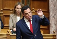Γεωργιάδης: Όσοι υποστηρίζετε τους Παλαιστινίους πλήττετε τα εθνικά συμφέροντα της χώρας