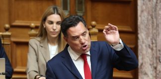 Γεωργιάδης: Όσοι υποστηρίζετε τους Παλαιστινίους πλήττετε τα εθνικά συμφέροντα της χώρας
