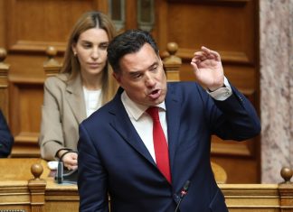 Γεωργιάδης: Όσοι υποστηρίζετε τους Παλαιστινίους πλήττετε τα εθνικά συμφέροντα της χώρας