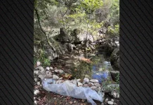 Πέντε Τούρκοι συνελήφθησαν στα Εξάρχεια για καλλιέργεια κάνναβης στη Μεσσηνία, πάνω από 200.000 ευρώ το παράνομο όφελος