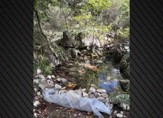 Πέντε Τούρκοι συνελήφθησαν στα Εξάρχεια για καλλιέργεια κάνναβης στη Μεσσηνία, πάνω από 200.000 ευρώ το παράνομο όφελος Πέντε Τούρκοι συνελήφθησαν στα Εξάρχεια για καλλιέργεια κάνναβης στη Μεσσηνία, πάνω από 200.000 ευρώ το παράνομο όφελος