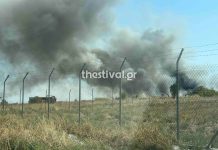 Θεσσαλονίκη: Συναγερμός για φωτιά στα Υψώματα Διαβατών – (VIDEO)