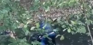 Γαλλία: Σάλος από βίντεο με αστυνομικό να κρατά νεαρό κάτω από το νερό – Ξυλοκοπήθηκε από μαθητές που συμμετείχαν στις…