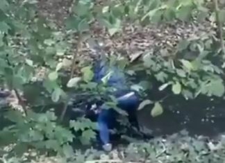 Γαλλία: Σάλος από βίντεο με αστυνομικό να κρατά νεαρό κάτω από το νερό – Ξυλοκοπήθηκε από μαθητές που συμμετείχαν στις διαδηλώσεις Γαλλία: Σάλος από βίντεο με αστυνομικό να κρατά νεαρό κάτω από το νερό – Ξυλοκοπήθηκε από μαθητές που συμμετείχαν στις…