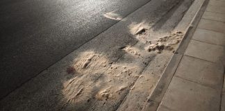 Συμβόλαιο θανάτου στη Γλυφάδα: Τα δύο σενάρια της ΕΛ.ΑΣ. για την εκτέλεση του «Παπαγάλου»