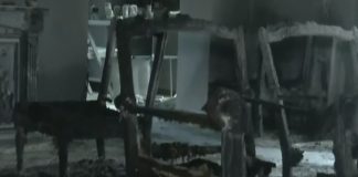 «Μου είπε δύο φορές ότι θα με σκοτώσει», καταγγέλλει η πρώην σύντροφος του υπαξιωματικού του Π.Ν. – Οι εμπρησμοί και η…