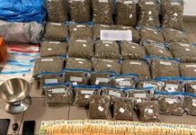Αλλοδαποί στη Λέσβο είχαν κρύψει 2 κιλά χασίς σε αυτοκίνητο και 15 κιλά σε «καβάτζα»