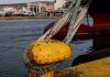 Δεμένα τα πλοία σε επτά λιμάνια λόγω της 24ωρης απεργίας των ναυτεργατών Δεμένα τα πλοία σε επτά λιμάνια λόγω της 24ωρης απεργίας των ναυτεργατών