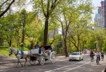 Τέλος οι άμαξες με άλογα στο Σέντραλ Παρκ της Νέας Υόρκης, αντιδρά ο Τραμπ: «Ακόμη ένα κομμάτι της ιστορίας που χάθηκε»