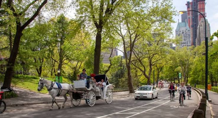 images (7) Τέλος οι άμαξες με άλογα στο Σέντραλ Παρκ της Νέας Υόρκης, αντιδρά ο Τραμπ: «Ακόμη ένα κομμάτι της ιστορίας που χάθηκε»