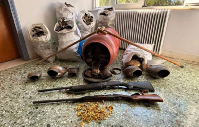 Λασίθι: Πάνω από 320 αιγοπρόβατα και 692 κουδούνια έκλεψε συμμορία – 5 συλλήψεις
