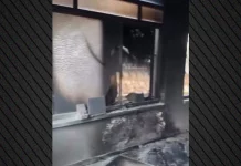 Ένα τέμενος στη Δυτική Όχθη πυρπολήθηκε και βεβηλώθηκε από Ισραηλινούς εποίκους