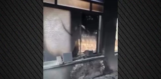 Ένα τέμενος στη Δυτική Όχθη πυρπολήθηκε και βεβηλώθηκε από Ισραηλινούς εποίκους