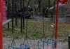 Έξι νεκροί μετά από επίθεση ρωσικού drone σε πάρκο την Ουκρανία, ανάμεσά τους τρία παιδιά - «Καθαρή κτηνωδία», λέει ο…