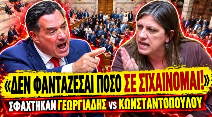 Σφάχτηκαν στη βουλή Γεωργιάδης VS Κωνσταντοπούλου: «Δεν φαντάζεσαι πόσο σε σιχαίνομαι»-(VIDEO)