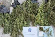 Συνελήφθη 63χρονος στη Θεσσαλονίκη για κατοχή κάνναβης βάρους άνω των 12 κιλών Συνελήφθη 63χρονος στη Θεσσαλονίκη για κατοχή κάνναβης βάρους άνω των 12 κιλών